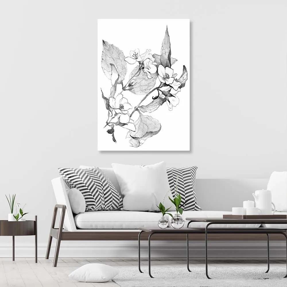Obraz na plátně Květiny Černá Bílá Příroda - 60x90 cm