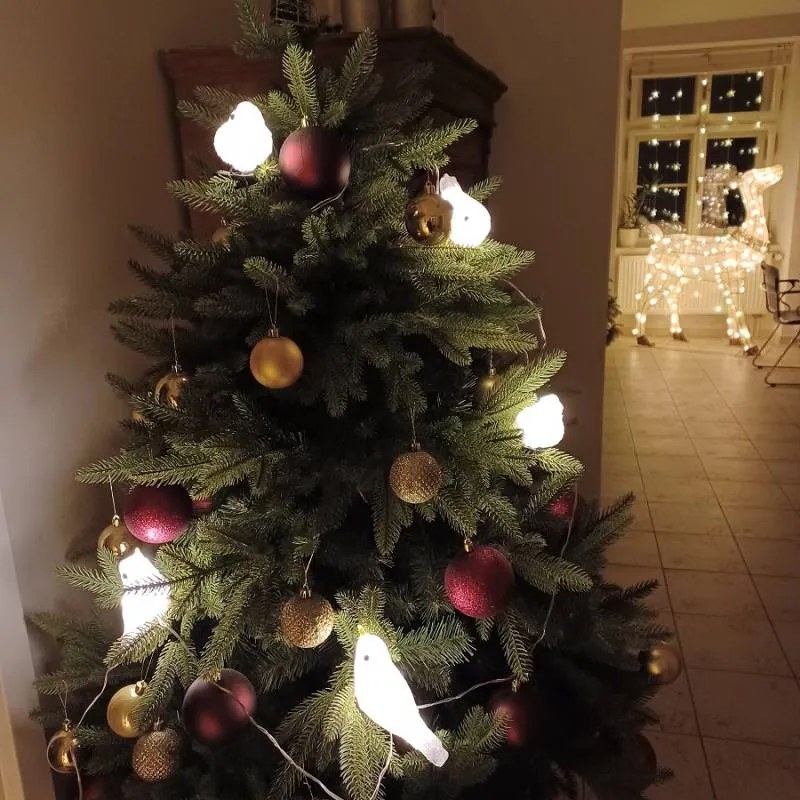 DECOLED LED světelní ptáčci, akryl, 5 ks, teple bílá