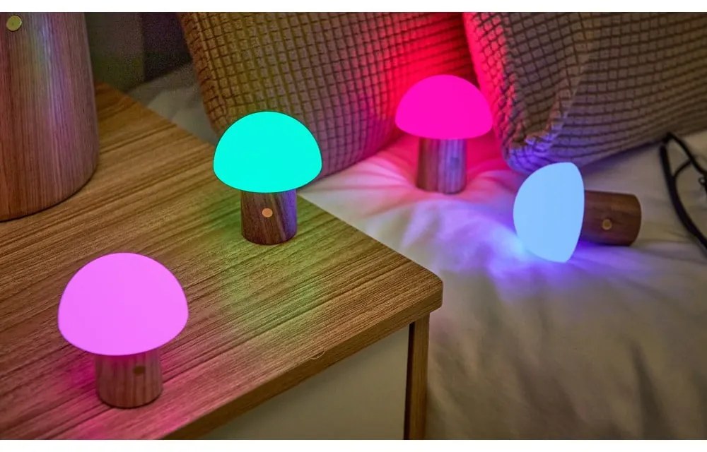 LED stolová lampa z jaseňového dreva so stmievačom v prírodnej farbe (výška 7 cm) Alice – Gingko