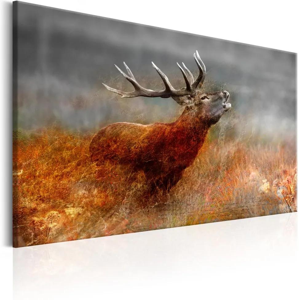 Obraz - Roaring Deer 120x80