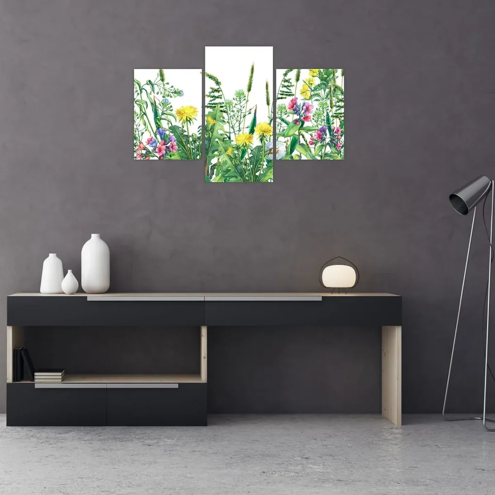 Obraz - Maľované lúčne kvety (90x60 cm)