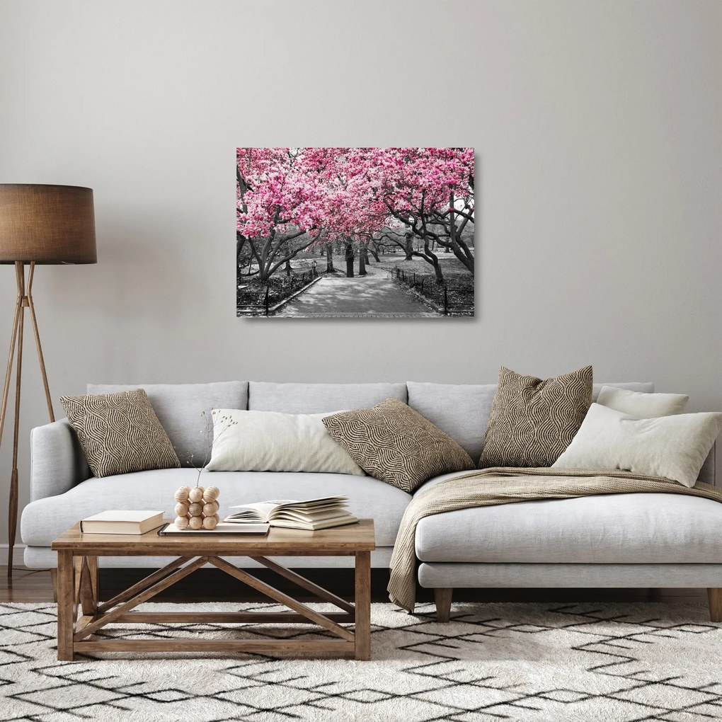 Sklenený obraz stromov Magnólie (70x50 cm)