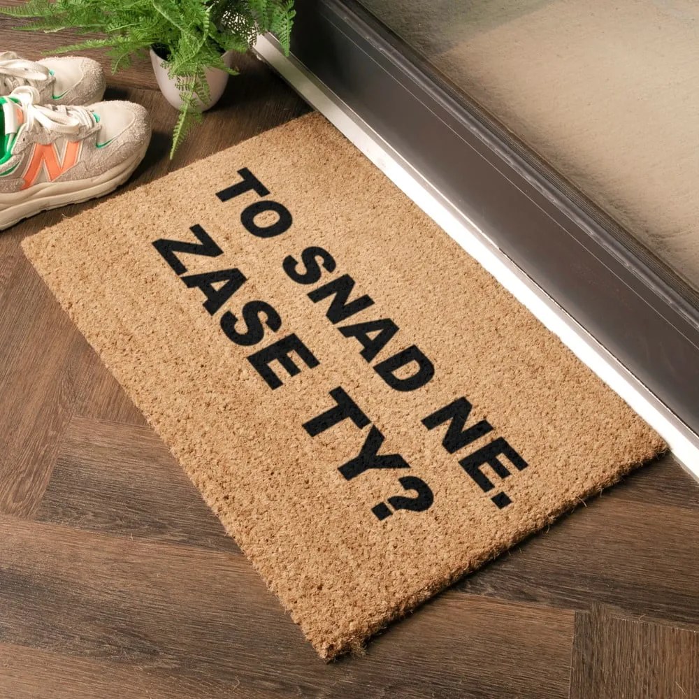 Rohožka z kokosového vlákna 40x60 cm Zase Ty? – Artsy Doormats