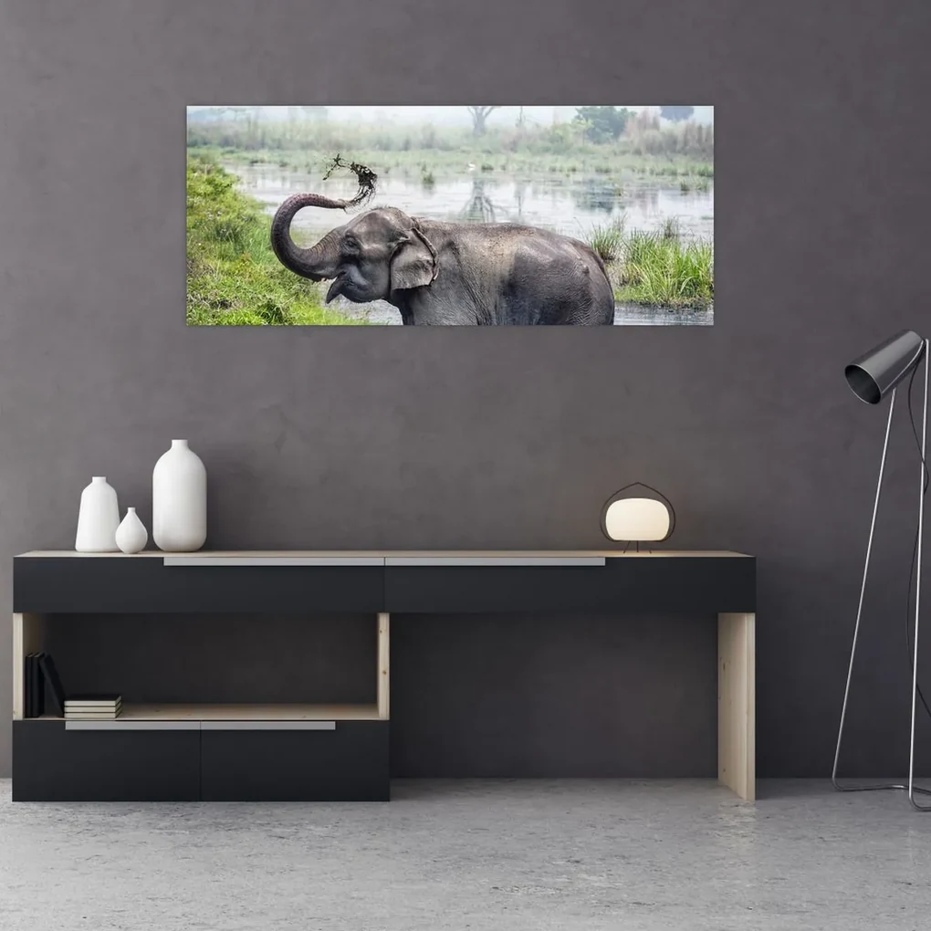 Obraz - Kúpajúci sa slon (120x50 cm)