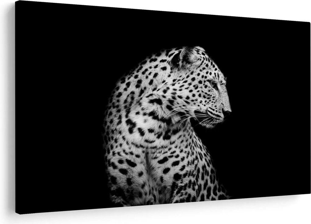 Obraz - Leopard (90x60 cm)