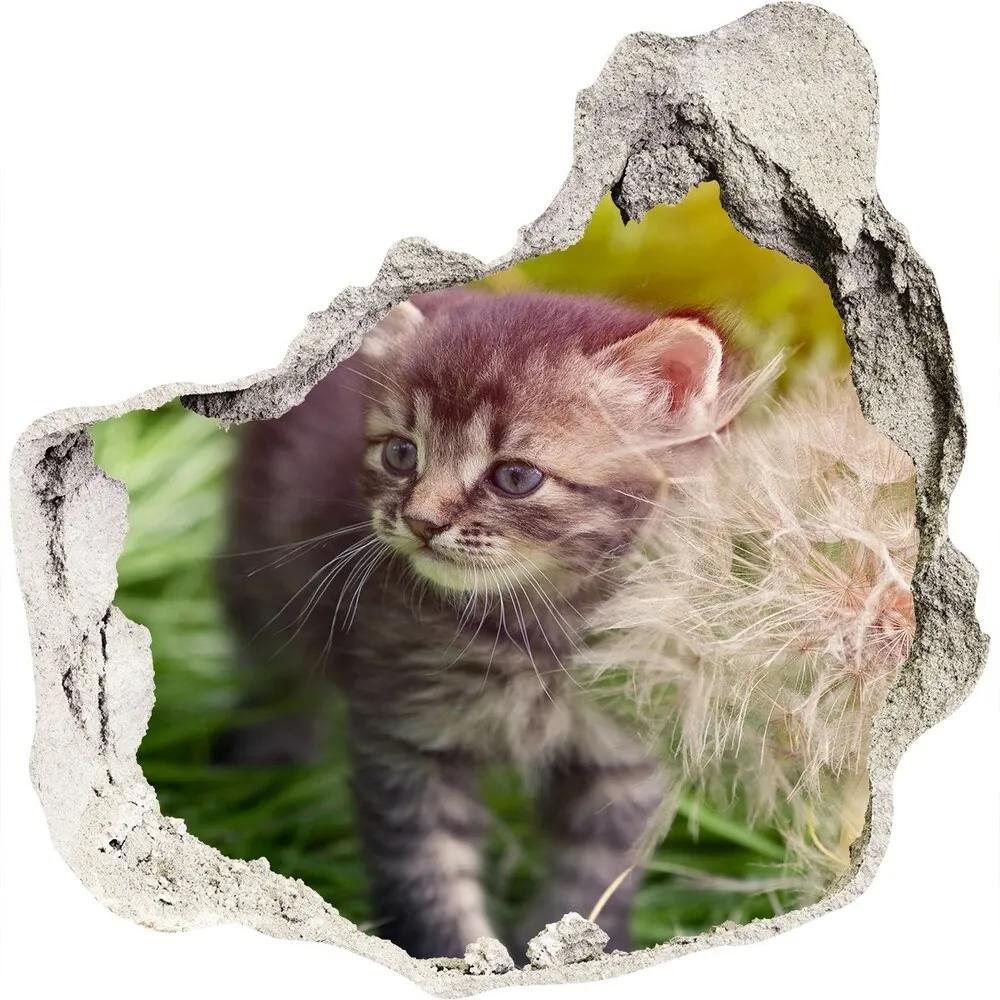 Diera 3D fototapety nálepka Mačka s púpavou WallHole-75x75-piask-107758068