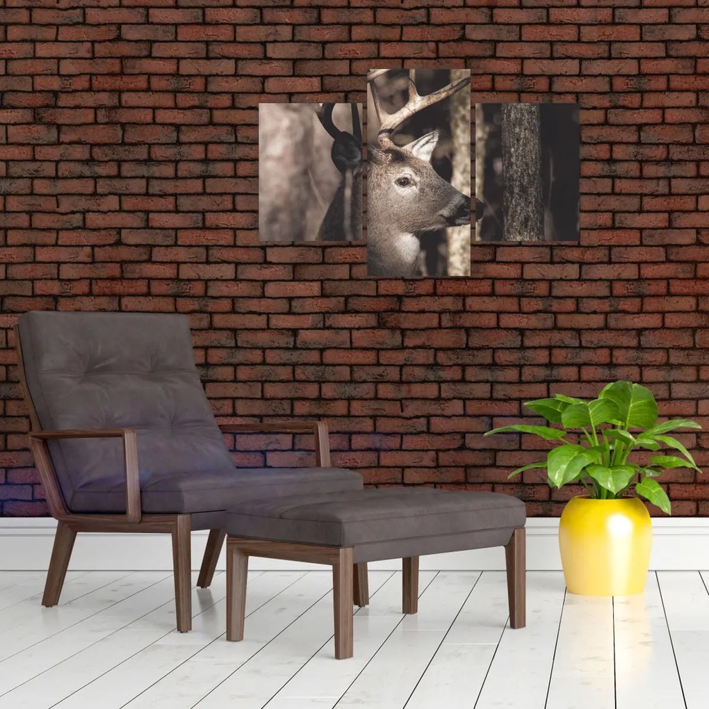 Obraz - Jeleň v lese (90x60 cm)