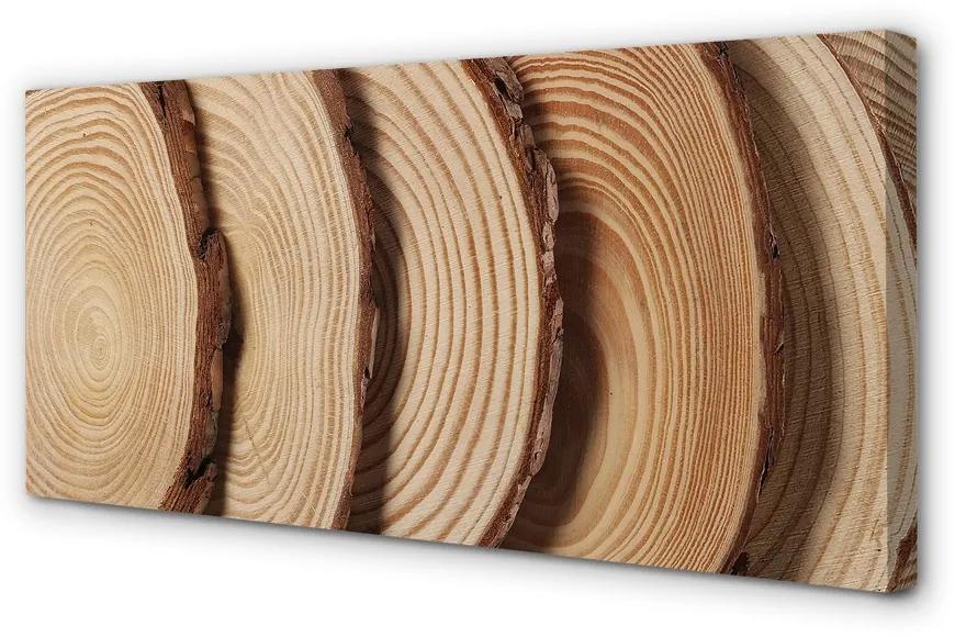 Obraz canvas plátky obilia dreva 120x60 cm