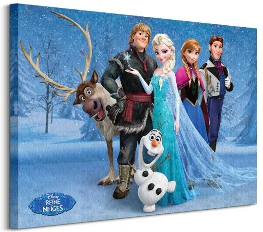 Obraz na plátne Disney Frozen (Group FRENCH) 80x60cm WDC90912