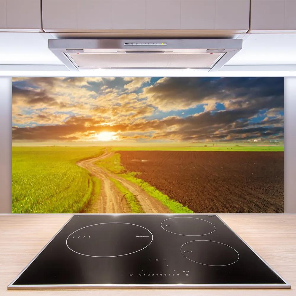 Sklenený obklad Do kuchyne Pole nebo slnko príroda 125x50 cm