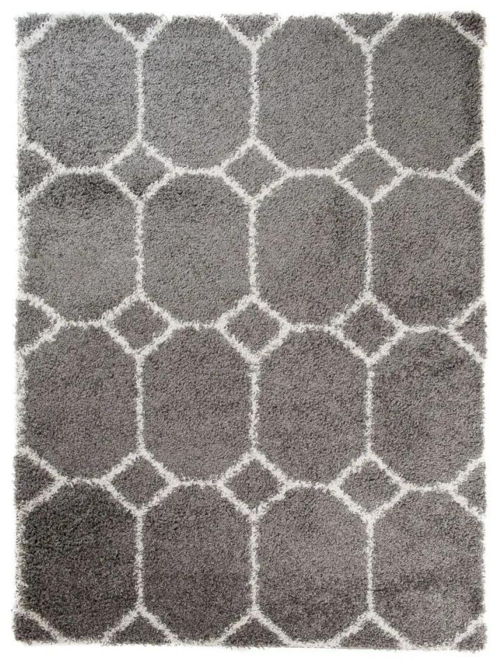 Kusový koberec Shaggy Mateas šedý, Velikosti 80x150cm