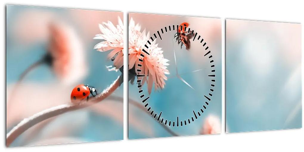 Obraz - Lienky na kvete (s hodinami) (90x30 cm)