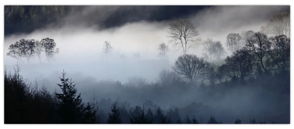 Obraz hmly nad lesom (120x50 cm)