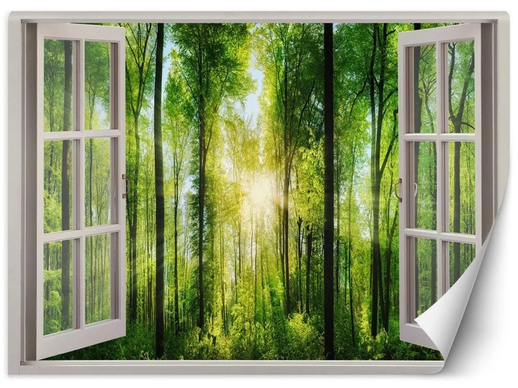 Fototapeta, Pohled z okna na sluneční paprsky v lese - 210x150 cm