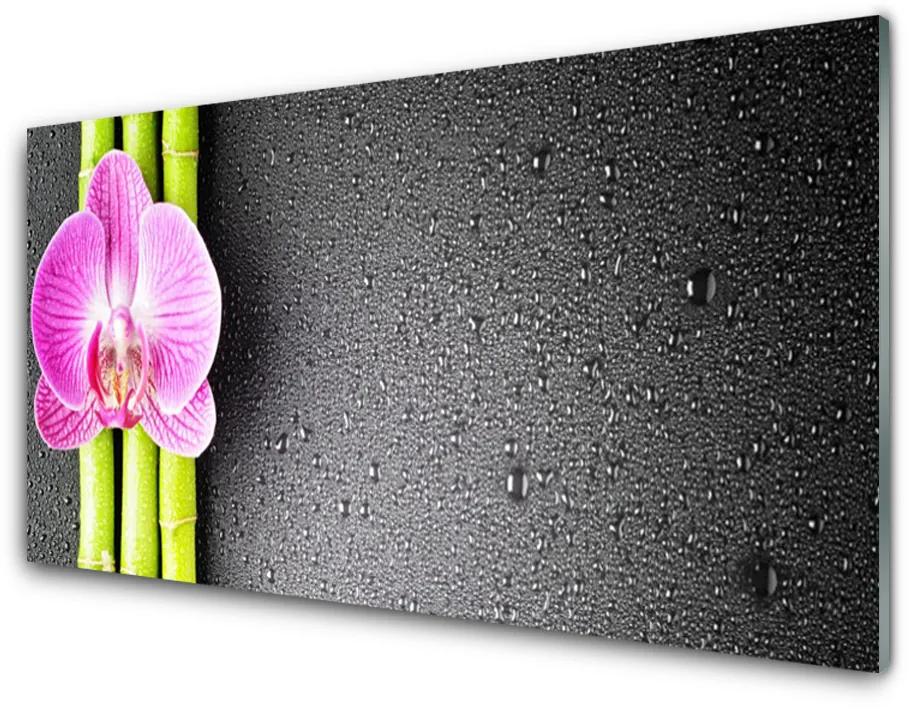Skleneny obraz Bambus kvet orchidea 140x70 cm