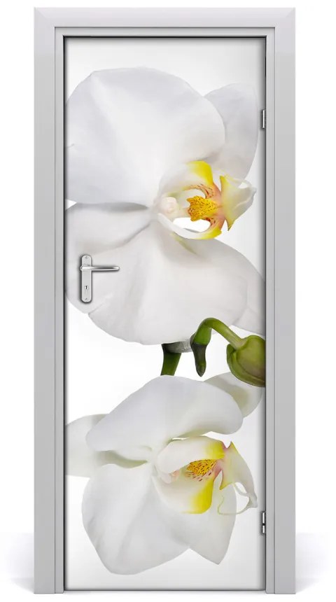 Samolepiace fototapety na dvere biela orchidea 95x205 cm