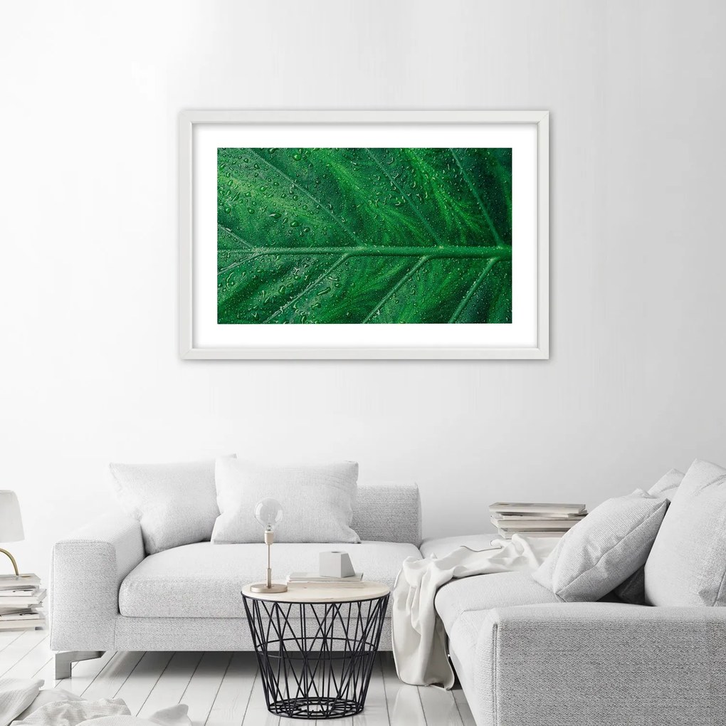 Gario Plagát Mokrý list v detailnom zábere Farba rámu: Bez rámu, Rozmery: 30 x 20 cm