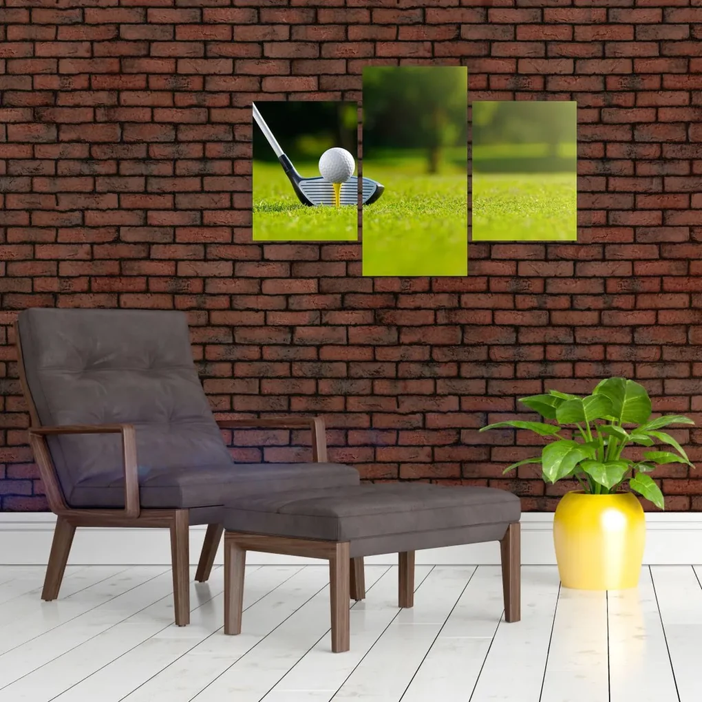 Obraz - Golf (90x60 cm)
