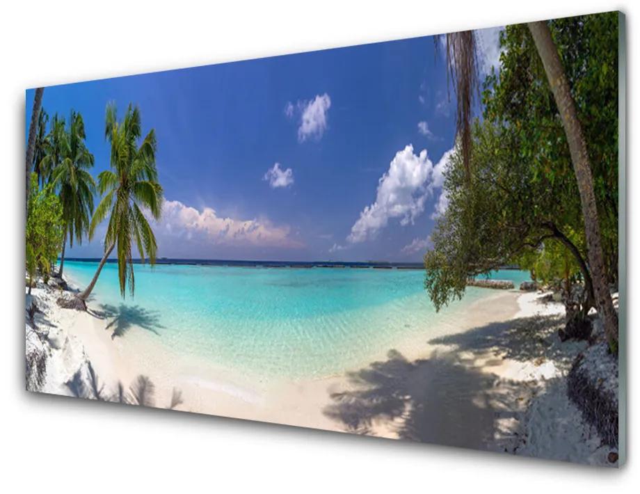 Obraz na akrylátovom skle More pláž palma krajina 140x70 cm