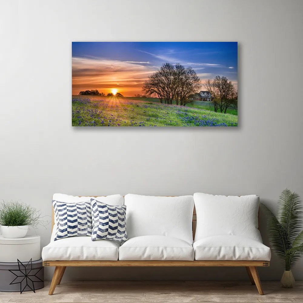 Obraz Canvas Lúka slnko krajina 120x60 cm
