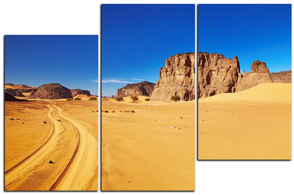 Obraz na plátne - Cesta v púšti 1129D (105x70 cm)