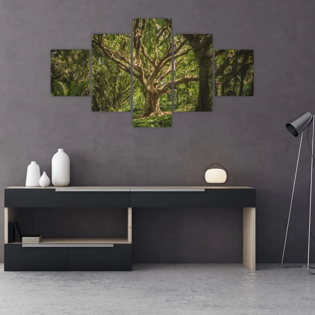 Obraz stromov (125x70 cm), 40 ďalších rozmerov