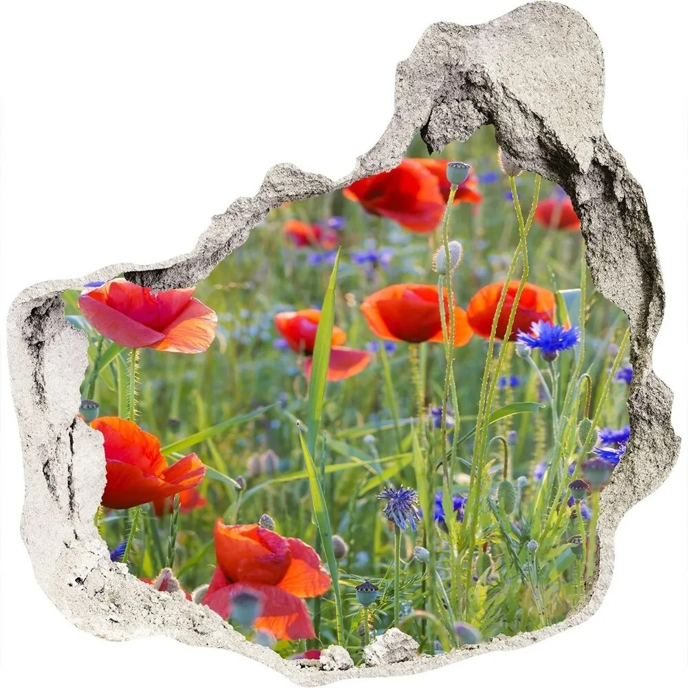 Nálepka 3D diera betón Poľné kvety nd-p-65958845