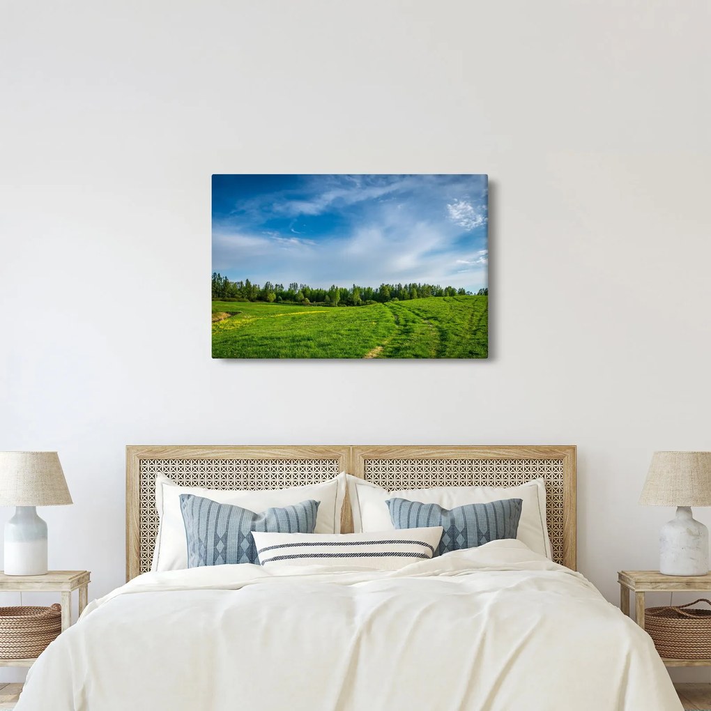 Obraz lúky (90x60 cm)