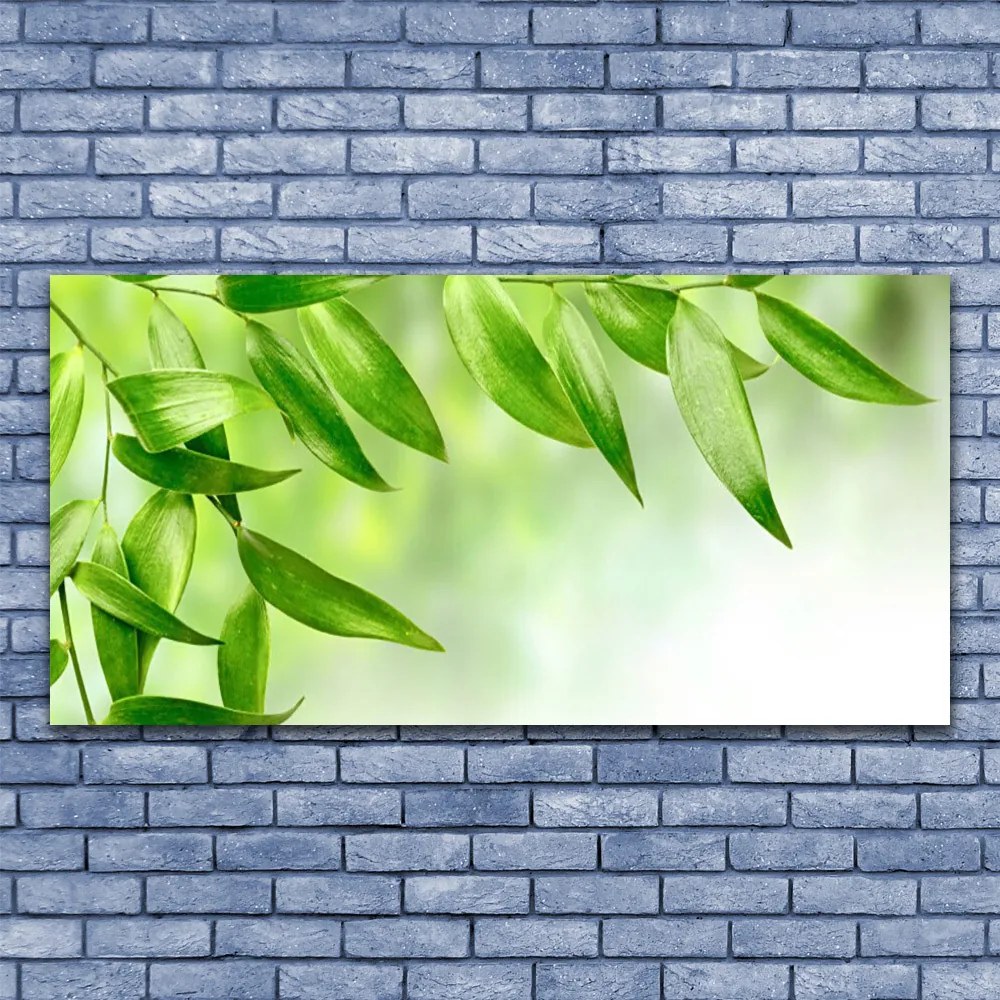 Obraz plexi Zelené listy príroda 120x60 cm