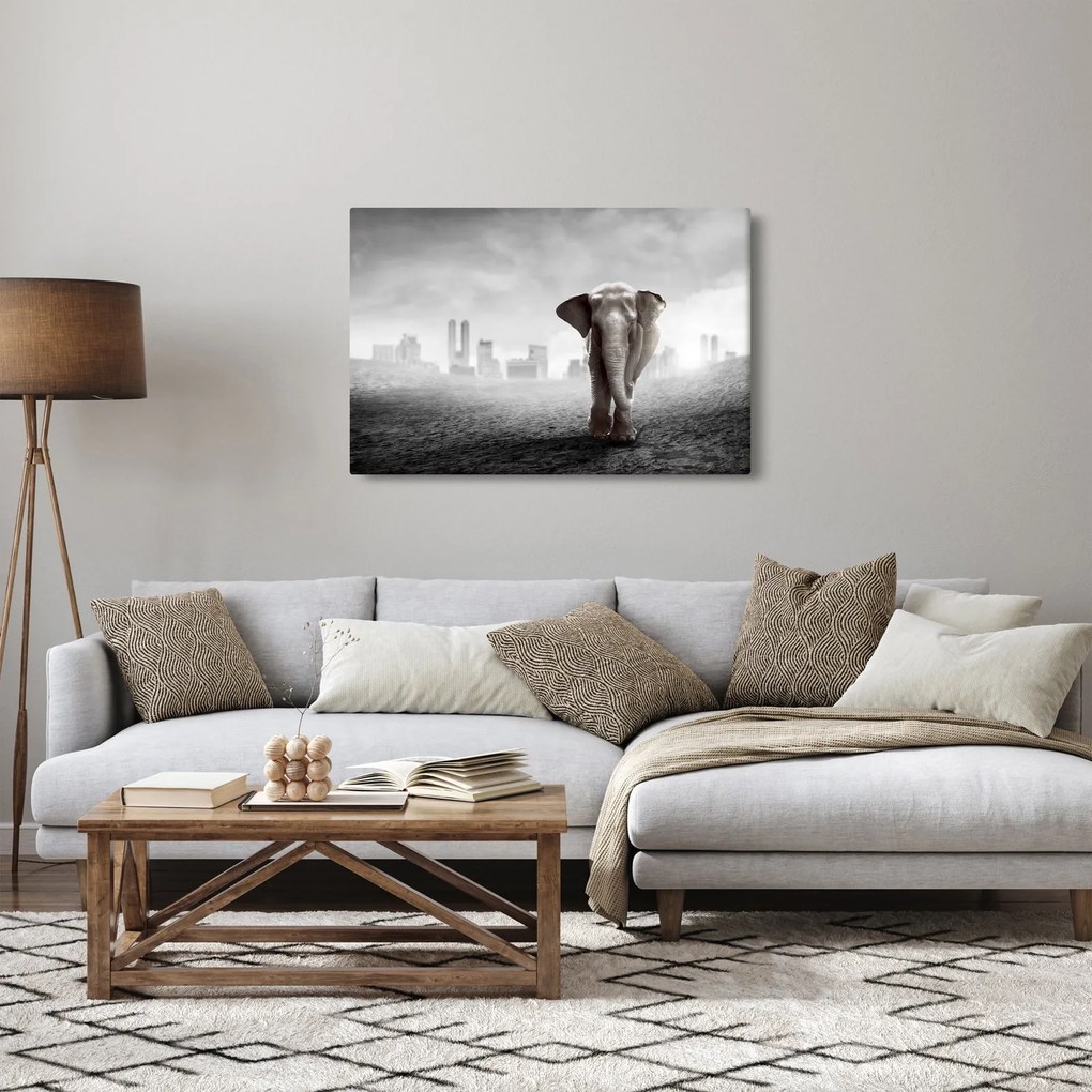 Obraz - Sloník vo veľkomeste, čiernobiely variant (90x60 cm)