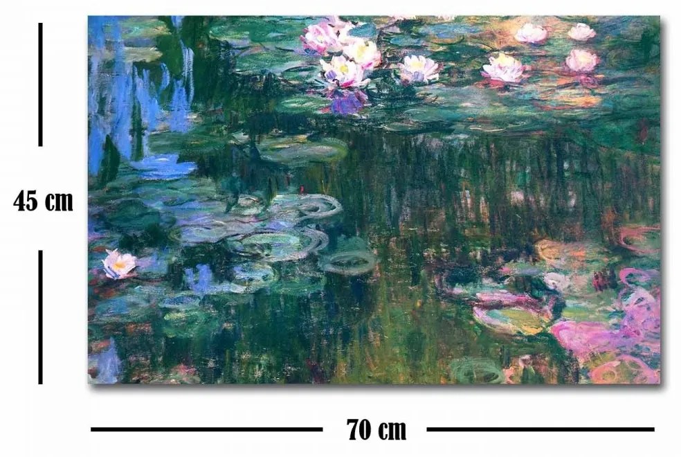Obraz WATER LILIES, od C. MONETA 45x70 cm