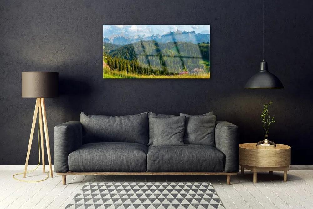 Skleneny obraz Hora les príroda 125x50 cm