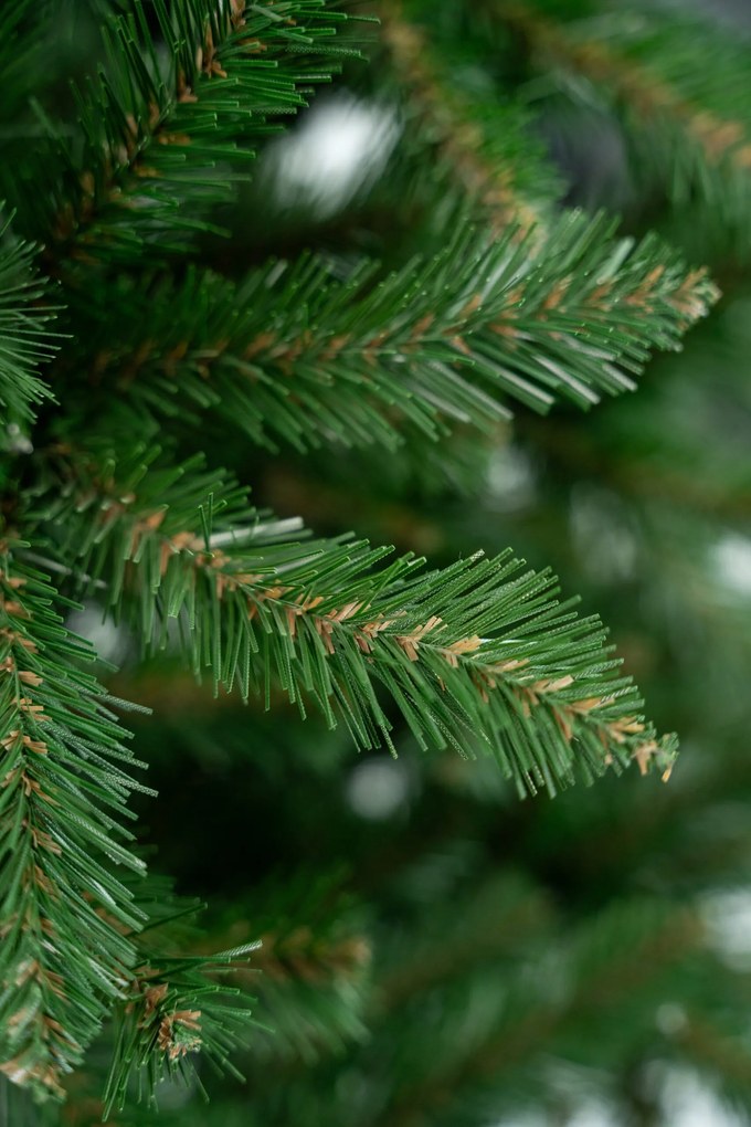 Limpol Jedľa Renata 2,20 m