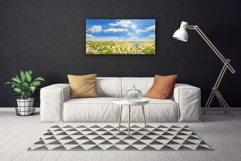 Obraz na plátne Lúka sedmokrásky príroda 140x70 cm