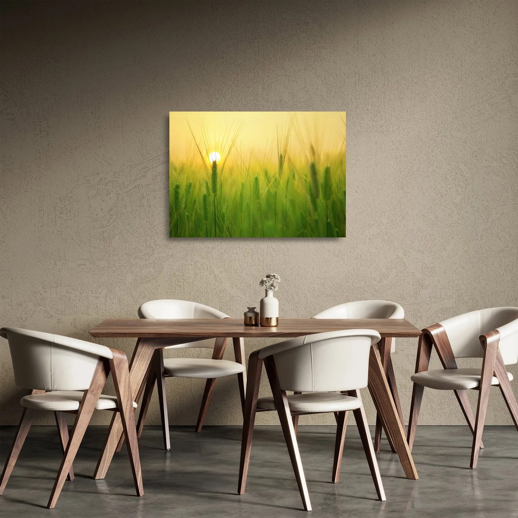 Sklenený obraz - Pole s obilím (70x50 cm)