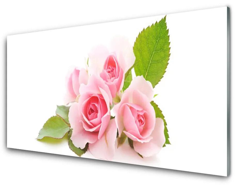 Skleneny obraz Ruže kvety príroda 100x50 cm