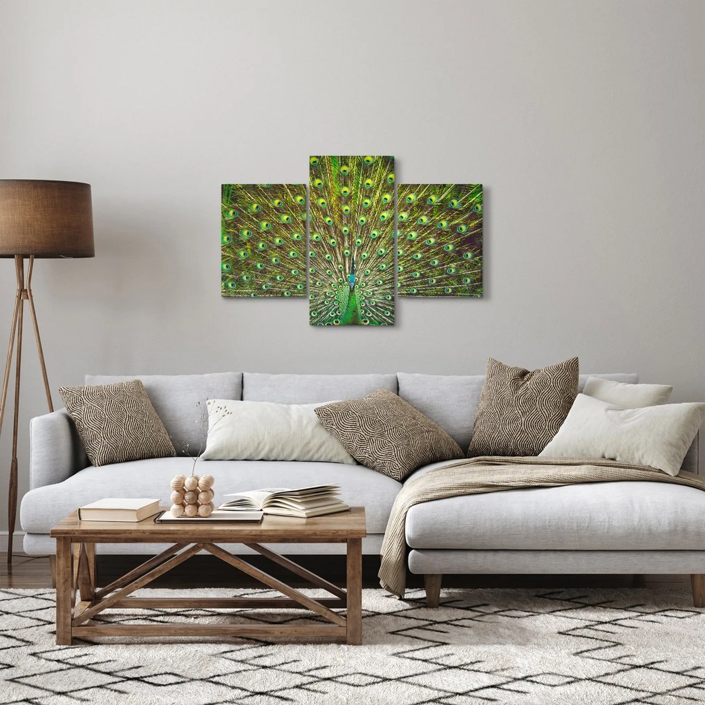 Obraz - Páv (90x60 cm)