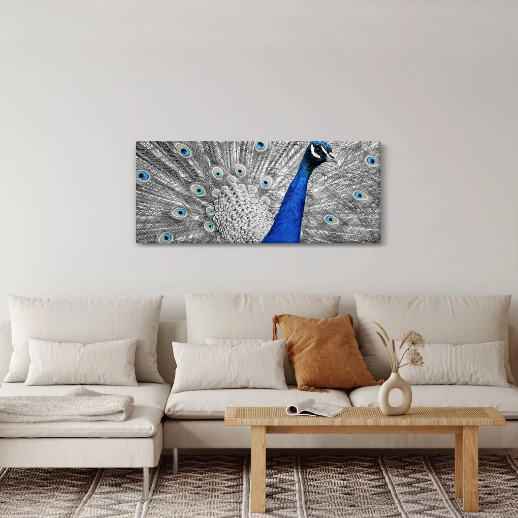 Obraz - modrý páv (120x50 cm)