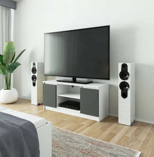 Stolík pod TV RTV 120 2D 1P biely / sivý