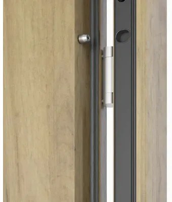 Kovové vchodové dvere S68 Neptun 90 P dub sonoma