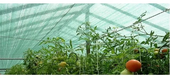 JAKS TIENIACA SIEŤ ZELENÁ 1,5 M x 50 M, 90% TIEŇA