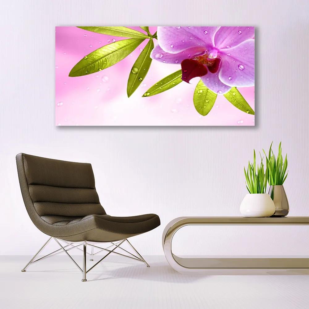 Obraz na akrylátovom skle Kvet listy rastlina 120x60 cm