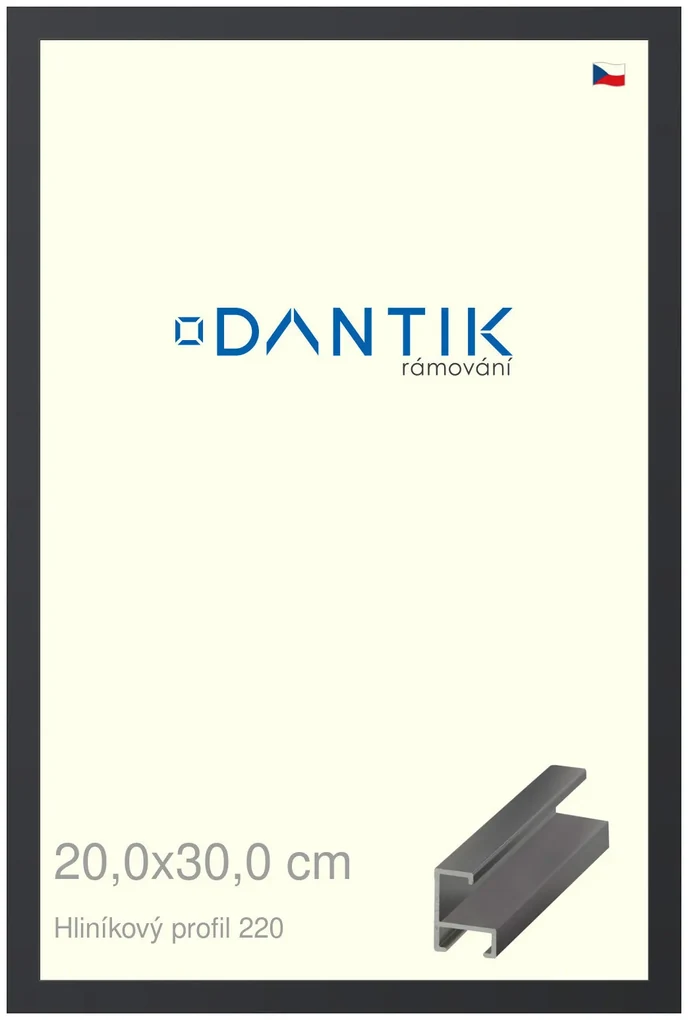 DANTIK rám na obraz 20x30 | ALU Černá matná (Sklo Čiré)