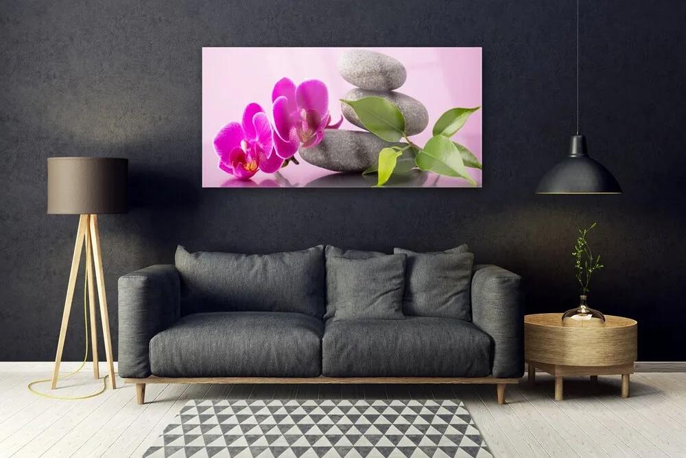 Obraz plexi Kvet kamene zen rastlina 120x60 cm