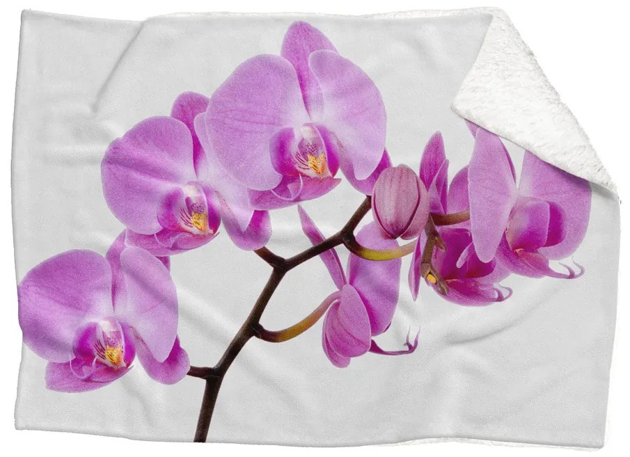 Deka Ružová orchidea (Rozmer: 200 x 140 cm, Podšitie baránkom: ÁNO)