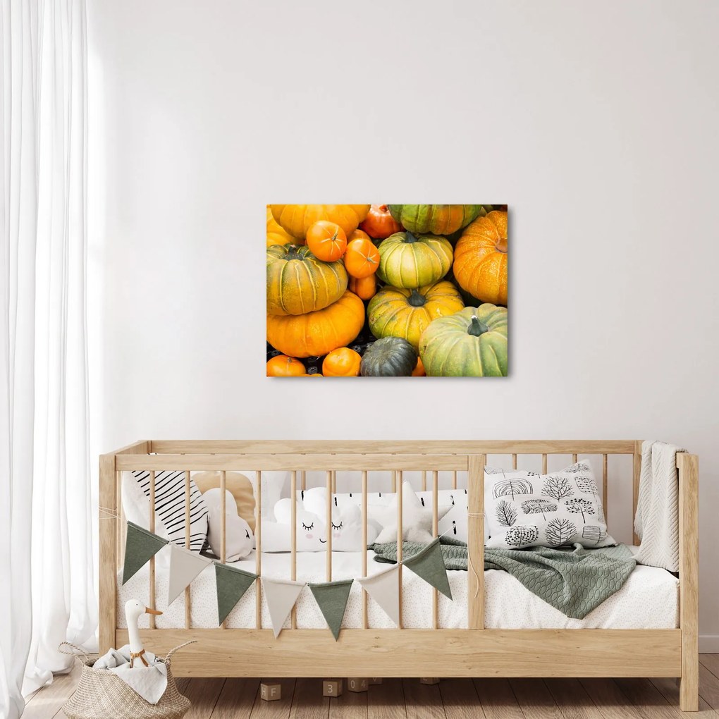 Obraz - Jesenná tekvica (70x50 cm)