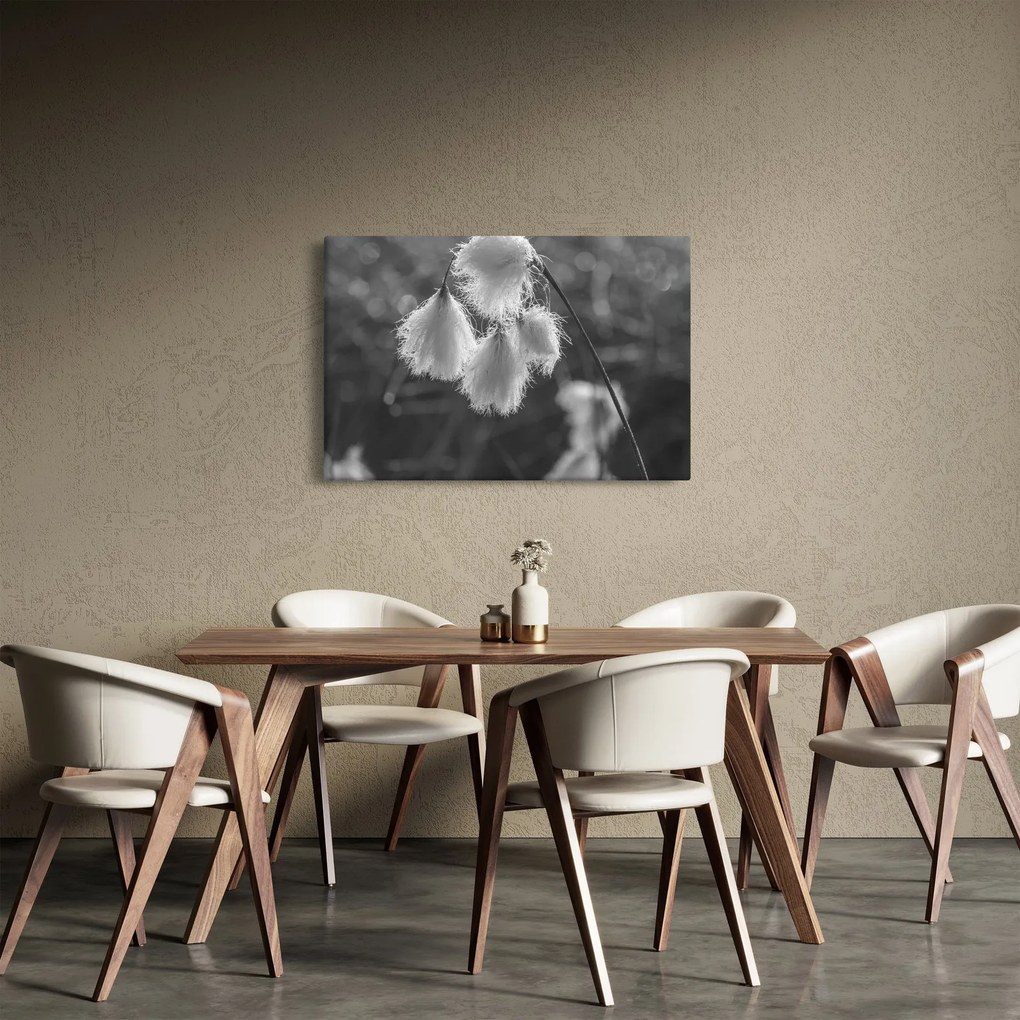Obraz - Cottongrass (90x60 cm)