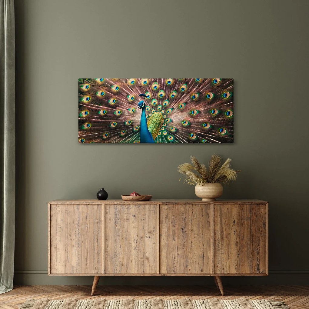 Obraz - Páv (120x50 cm)