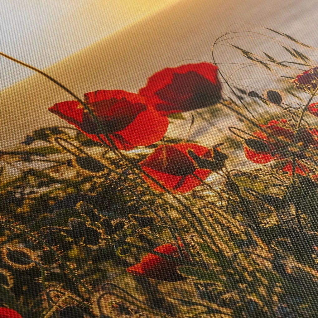 Obraz západu slnka s vlčími makmi (s hodinami) (90x30 cm)
