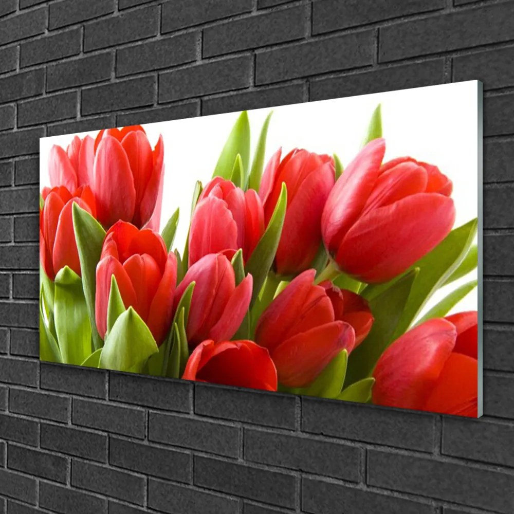 Obraz na skle Tulipány kvety rastlina 100x50 cm 2 Prívesky